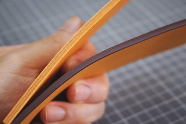 「即期品特賣」WX超效飽滿皮革邊油 (無法下單之顏色即為售完)